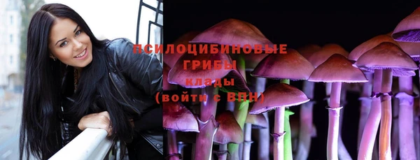 ПСИЛОЦИБИНОВЫЕ ГРИБЫ Абинск