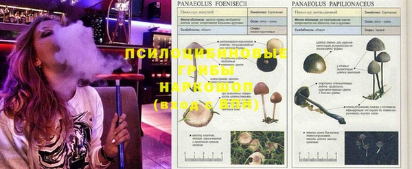 MDMA Premium VHQ Абдулино
