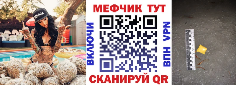 МЯУ-МЯУ мяу мяу  Ленинградская 